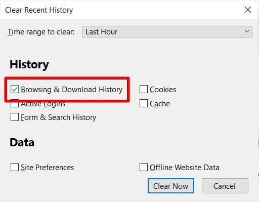 firefox clear browsing and download history