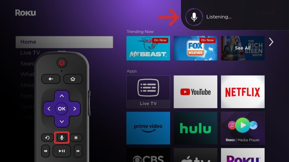 How To Add Roku Apps With a Voice Remote