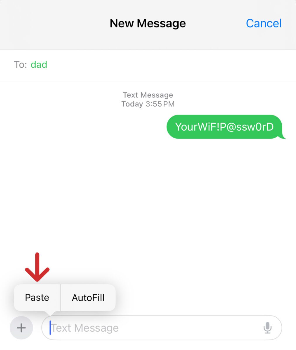 How to Find a WiFi Password on an iPhone 8 or Newer 4 scaled